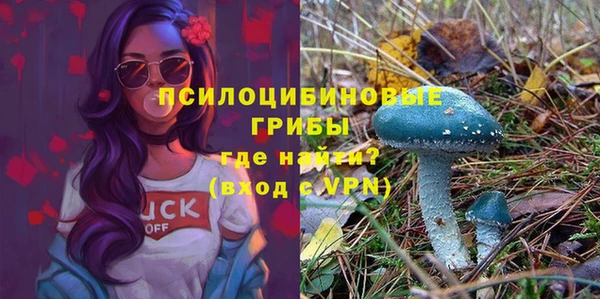 МДПВ Алзамай