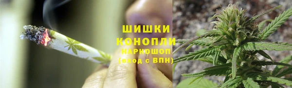 гидра Абаза