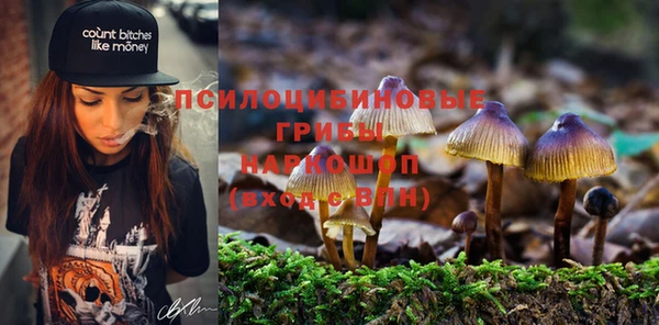 соль ск Абинск